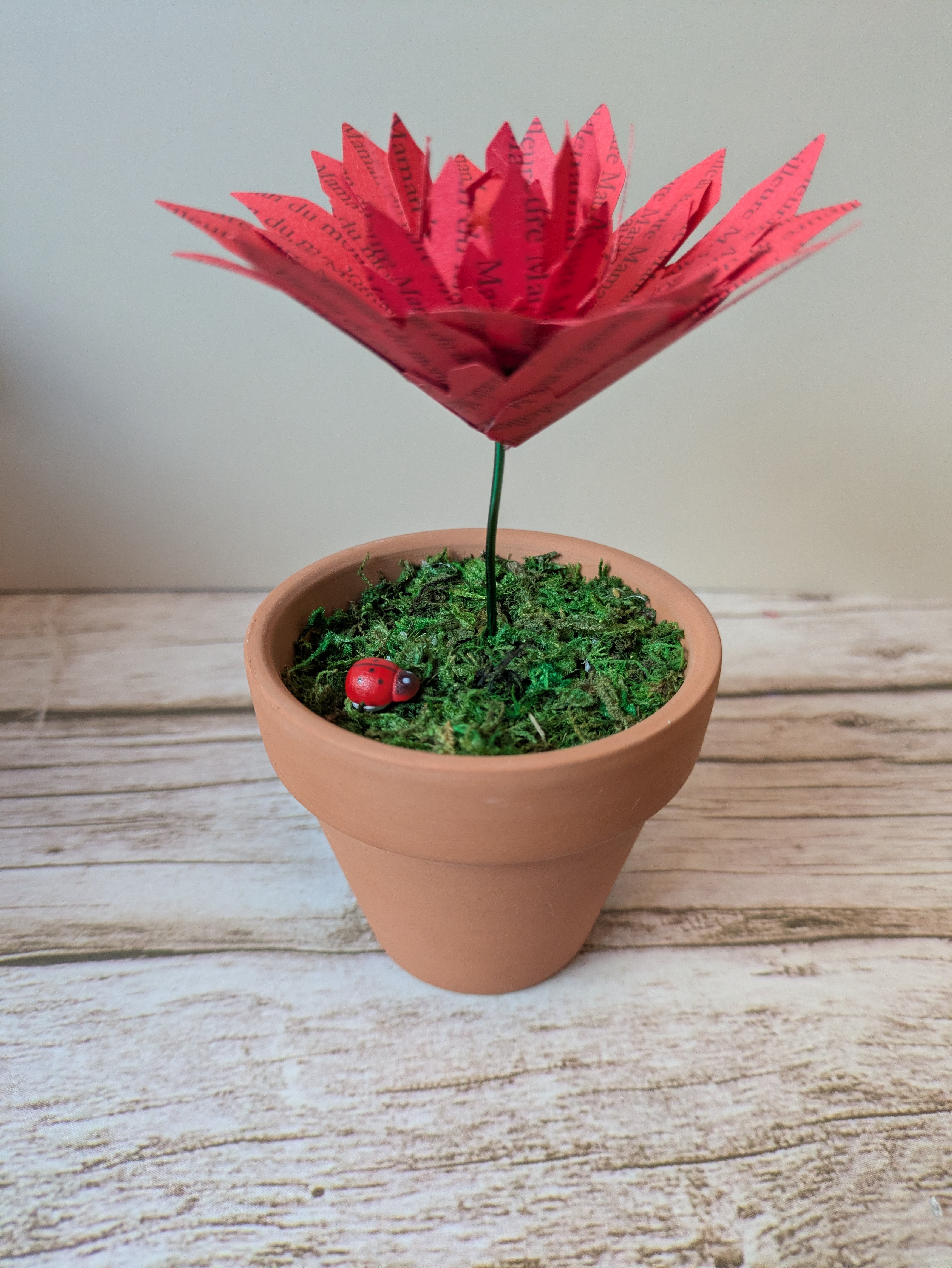 Fleur en pot Meilleure maman du monde 
