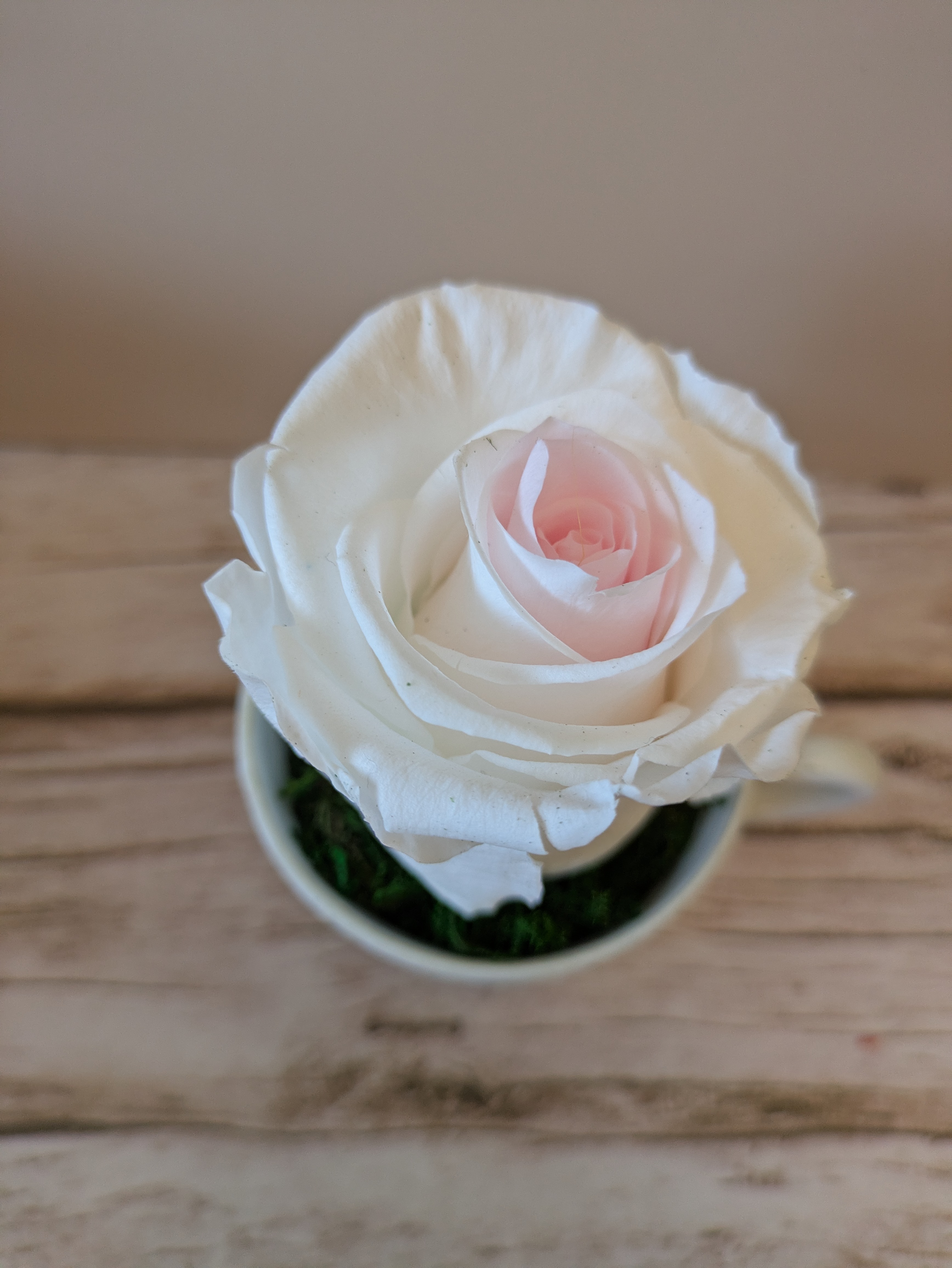 Tasse fleurs bleues 