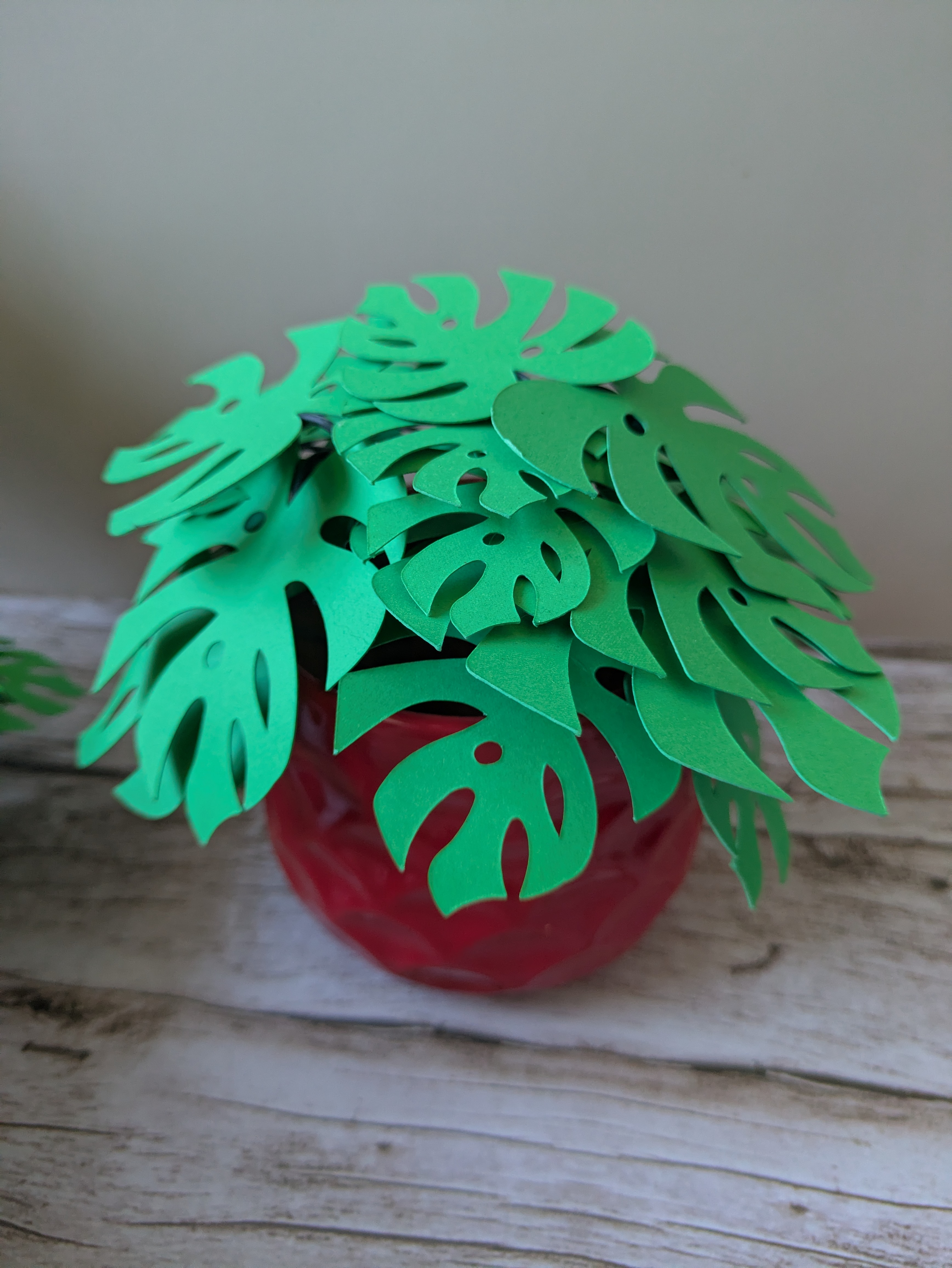 Monstera cache pot rouge 