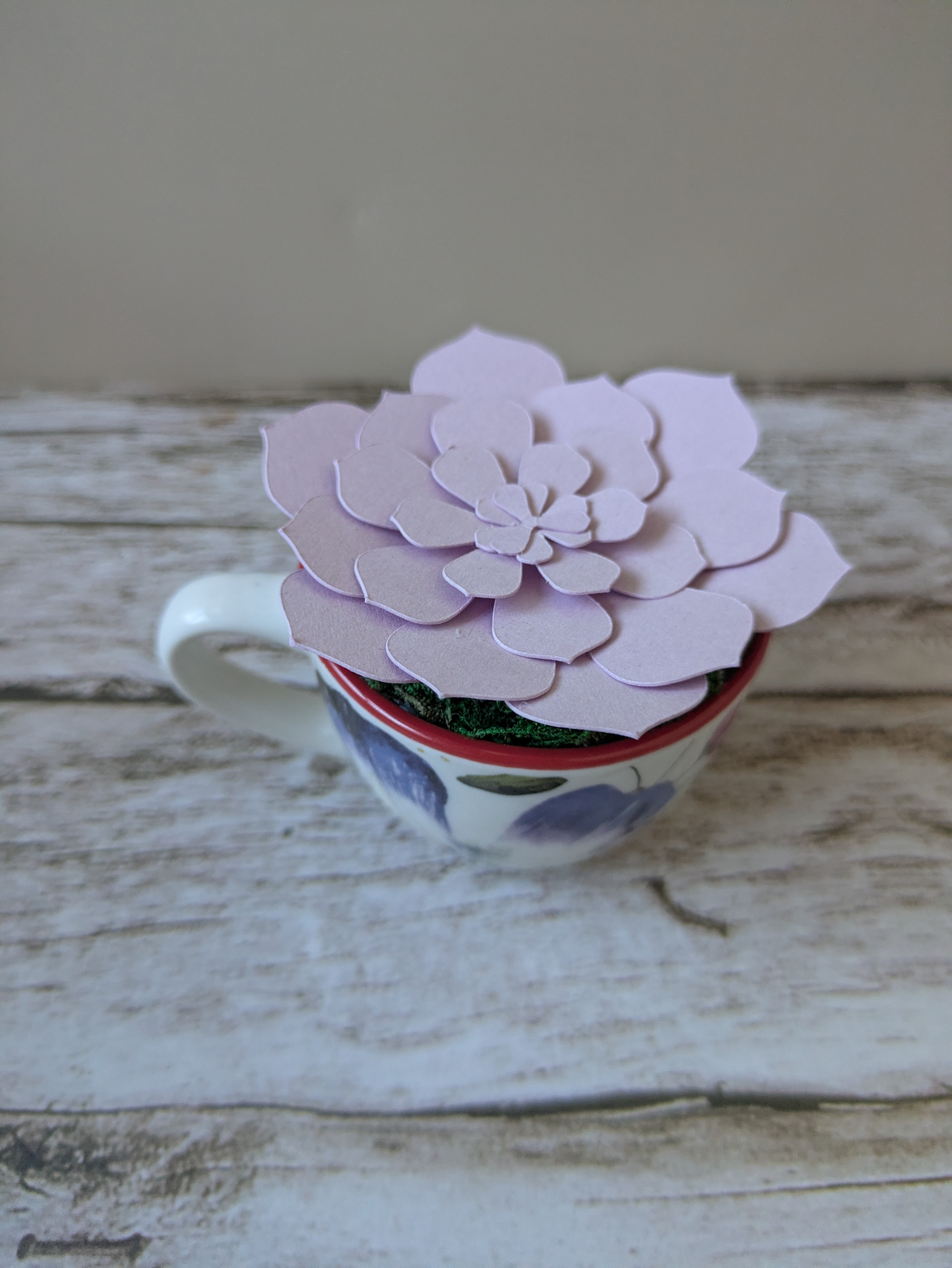 Tasse succulente