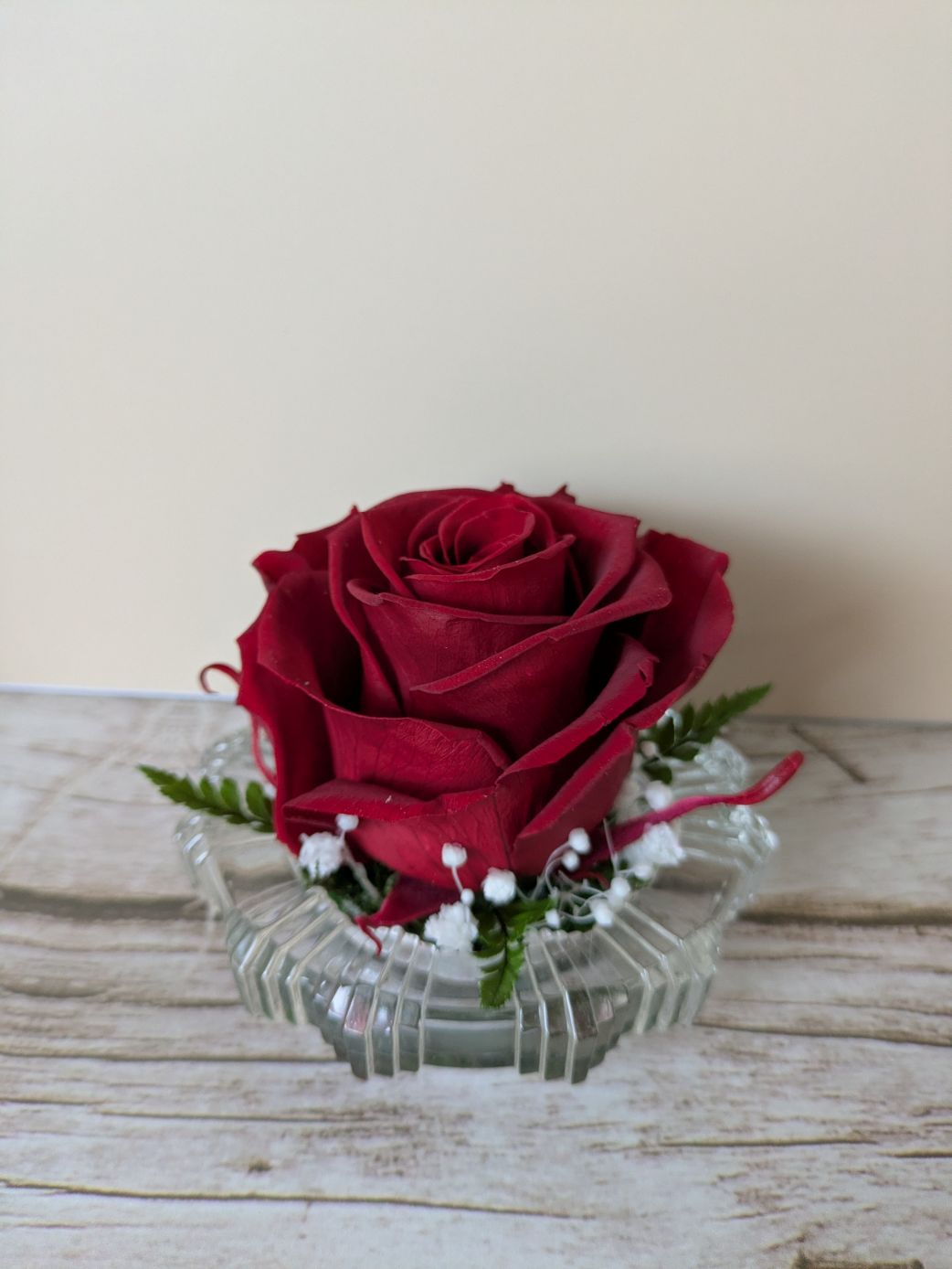 Annabelle Rose Eternelle